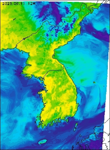 2025-06-11 12 : 00