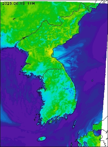 2025-06-18 11 : 00