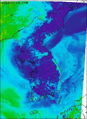 2025-07-15 11 : 00