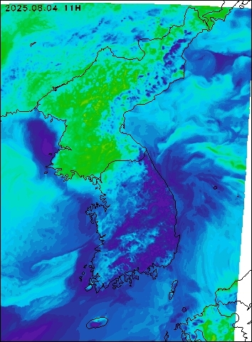 2025-08-04 11 : 00
