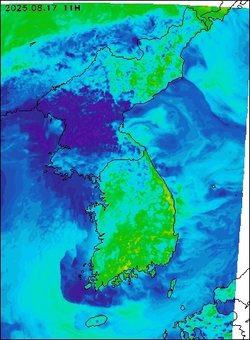 2025-08-17 11 : 00