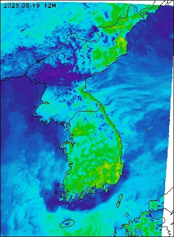 2025-08-19 12 : 00