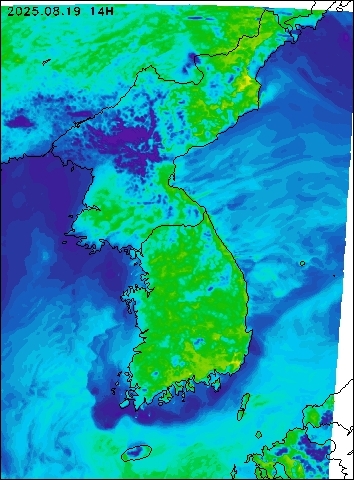 2025-08-19 14 : 00