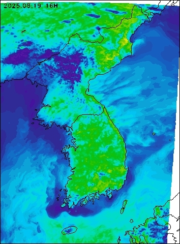 2025-08-19 16 : 00
