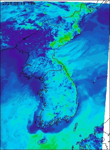 2025-08-19 19 : 00
