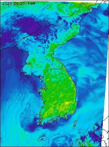 2025-08-20 14 : 00