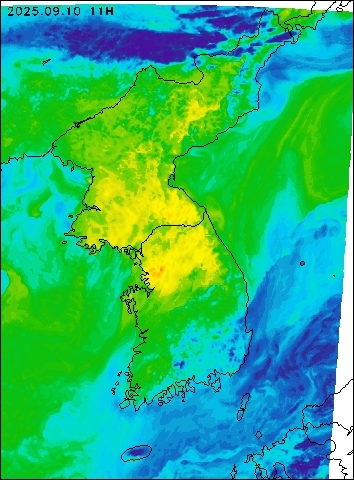 2025-09-10 11 : 00