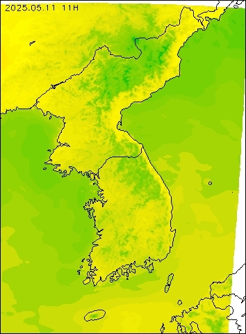2025-05-11 11 : 00