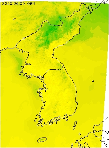 2025-06-03 09 : 00