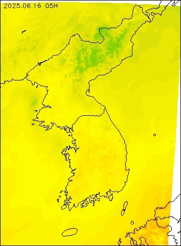 2025-06-16 05 : 00