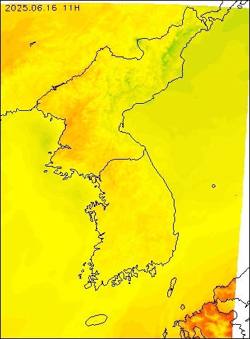 2025-06-16 11 : 00