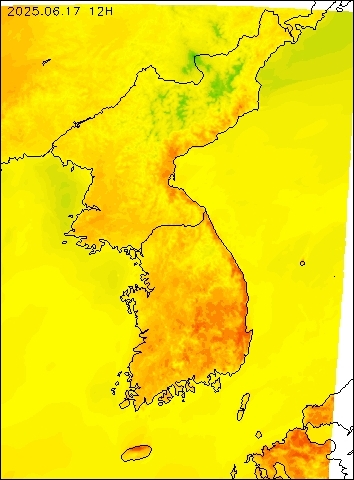 2025-06-17 12 : 00