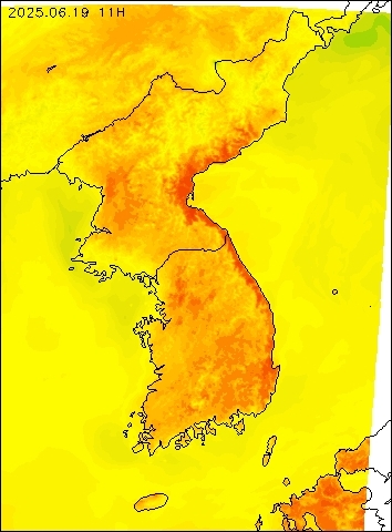 2025-06-19 11 : 00
