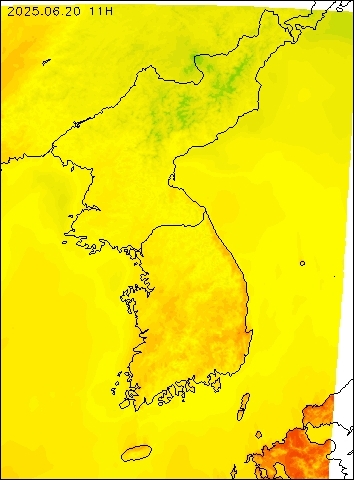 2025-06-20 11 : 00
