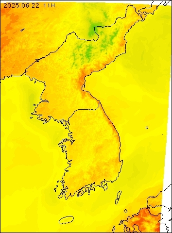 2025-06-22 11 : 00