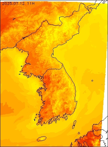 2025-07-12 11 : 00