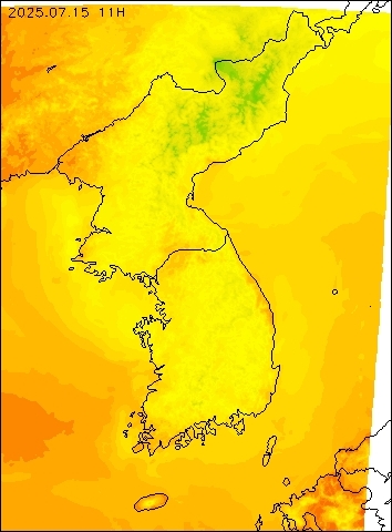 2025-07-15 11 : 00