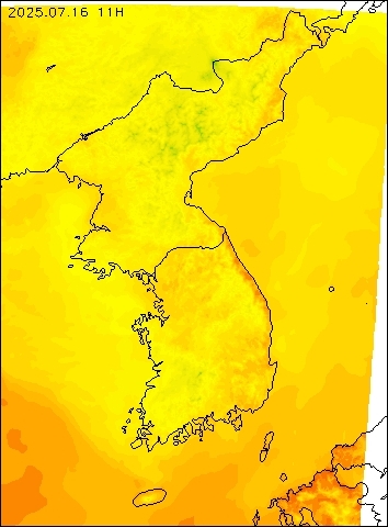 2025-07-16 11 : 00