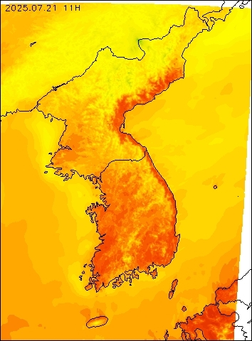 2025-07-21 11 : 00