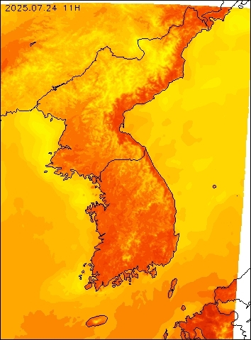 2025-07-24 11 : 00