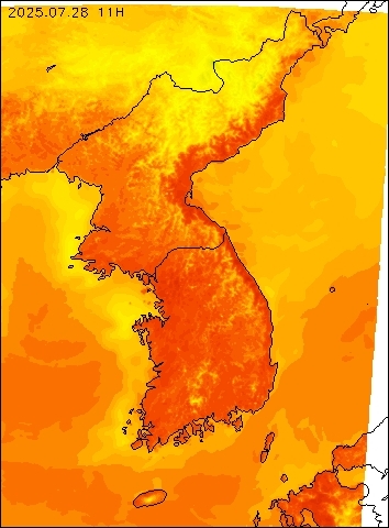 2025-07-28 11 : 00