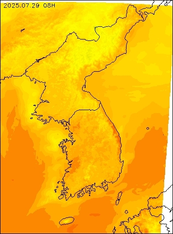 2025-07-29 08 : 00