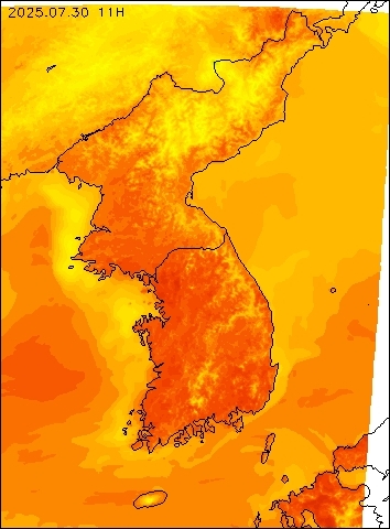 2025-07-30 11 : 00