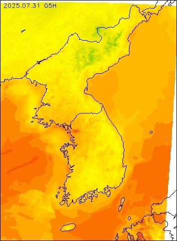 2025-07-31 05 : 00