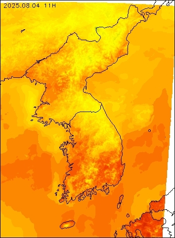 2025-08-04 11 : 00