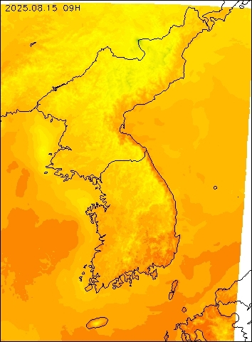 2025-08-15 09 : 00