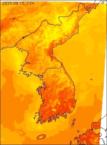 2025-08-15 12 : 00