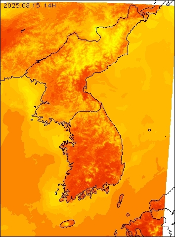 2025-08-15 14 : 00
