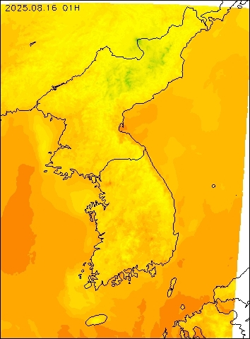 2025-08-16 01 : 00
