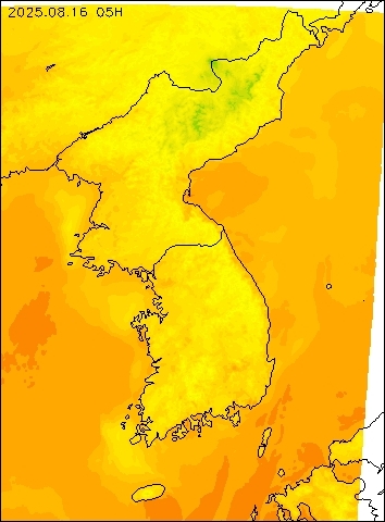 2025-08-16 05 : 00