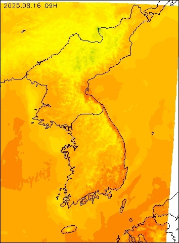 2025-08-16 09 : 00