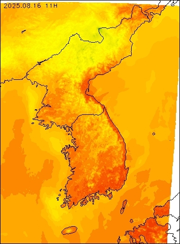 2025-08-16 11 : 00