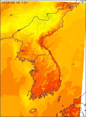 2025-08-16 12 : 00