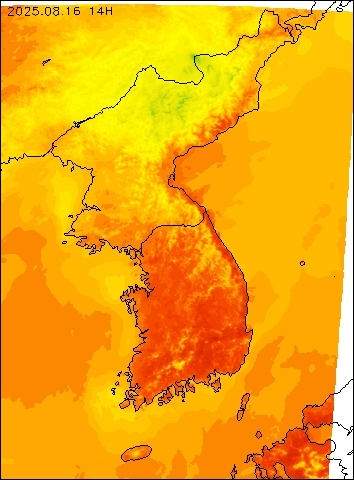 2025-08-16 14 : 00