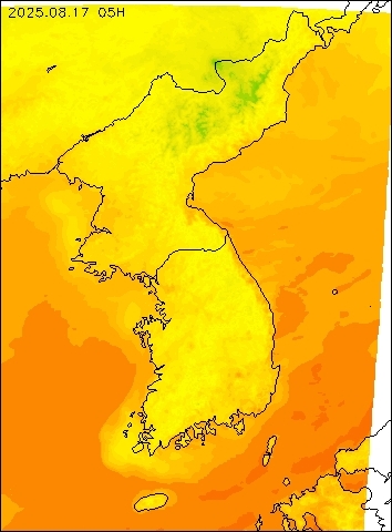 2025-08-17 05 : 00