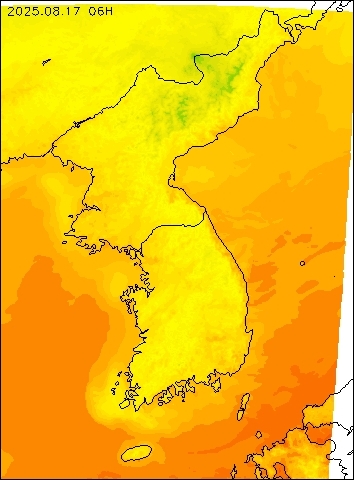 2025-08-17 06 : 00