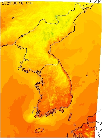 2025-08-18 11 : 00