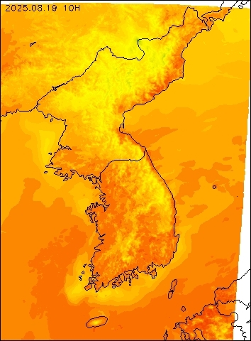 2025-08-19 10 : 00