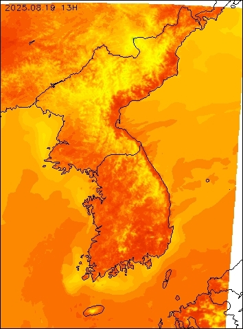 2025-08-19 13 : 00