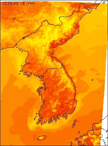 2025-08-19 14 : 00
