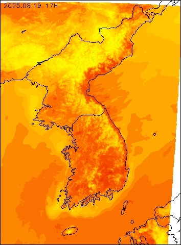 2025-08-19 17 : 00