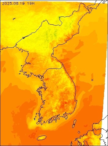 2025-08-19 19 : 00