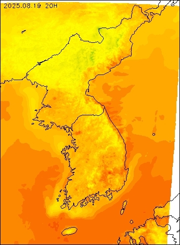 2025-08-19 20 : 00