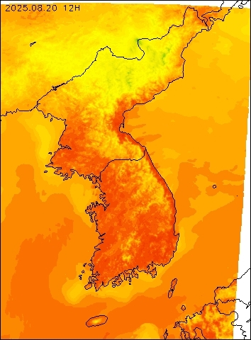 2025-08-20 12 : 00