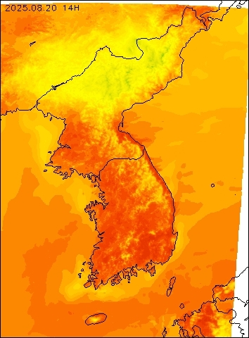 2025-08-20 14 : 00