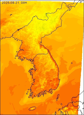 2025-08-21 09 : 00